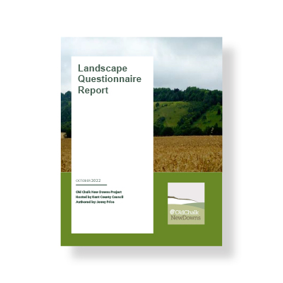 Landscape Survey Report